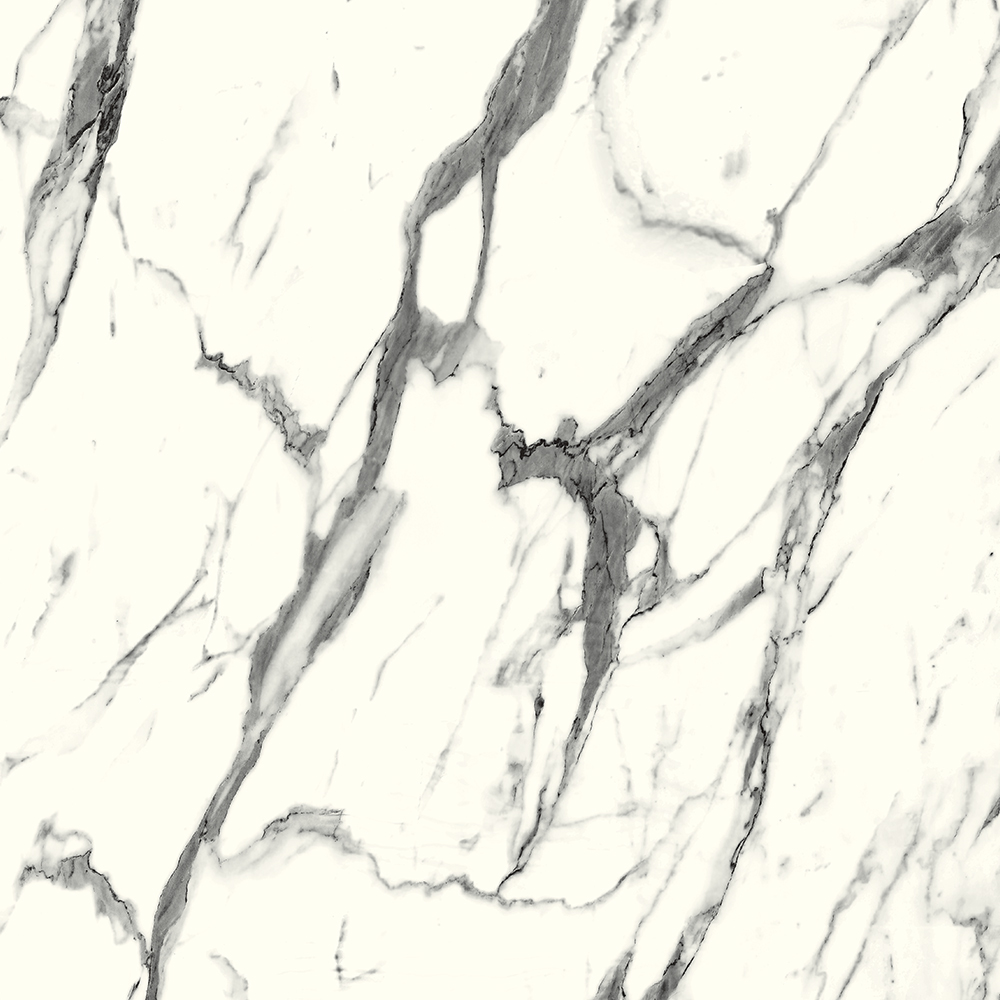 8003 Calacatta White Marble
