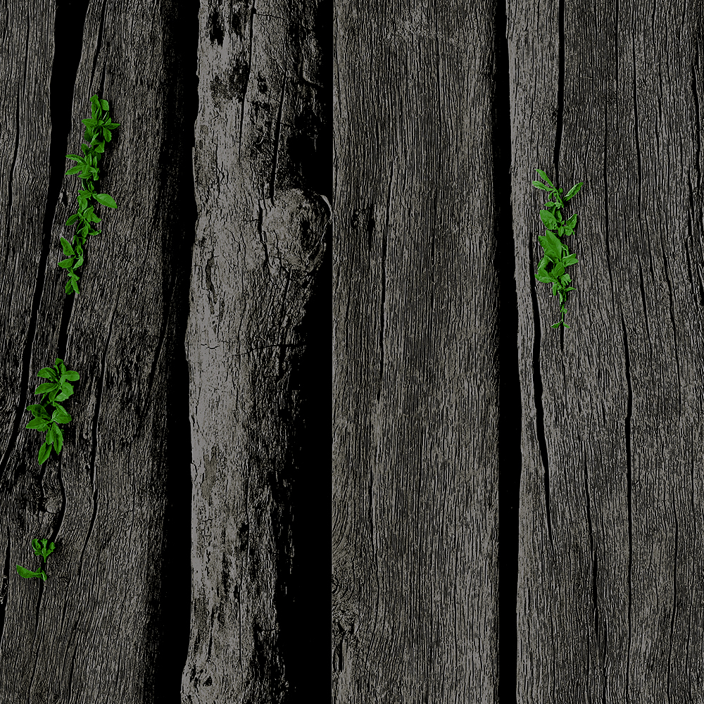 7016|Super Gloss UV Panel | Mystical Charred Timber