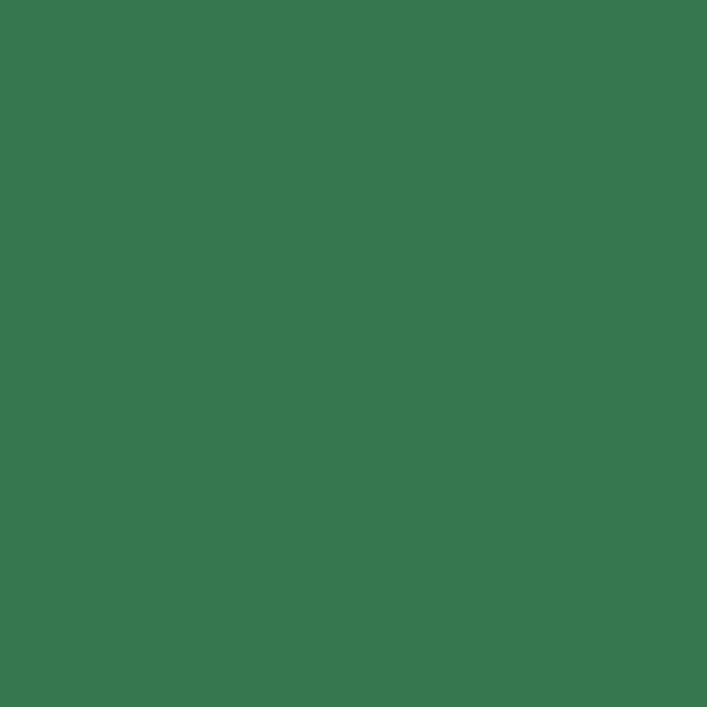 6015 Solid Forest Green